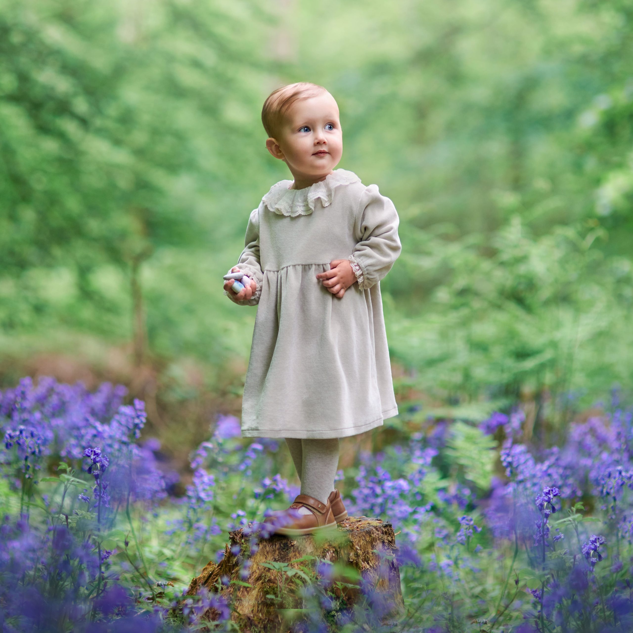 Fine art child portrait in bluebell woods