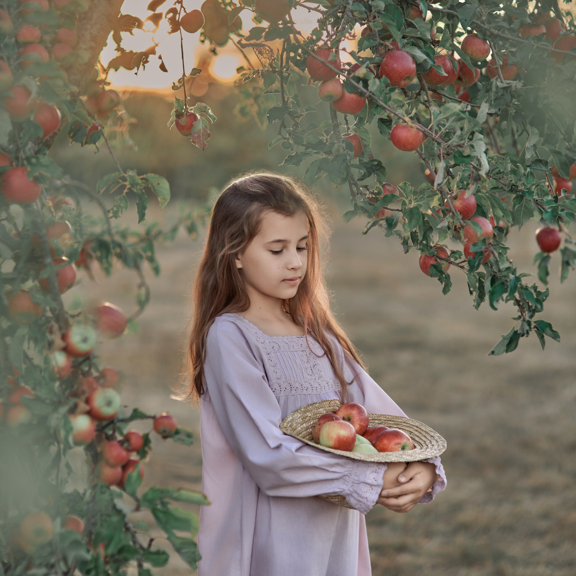 Fine art portrait of a girl in an apple orchard at sunset, dreamy painterly style